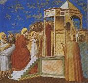 Presentation of the Virgin in the Temple GIOTTO di Bondone